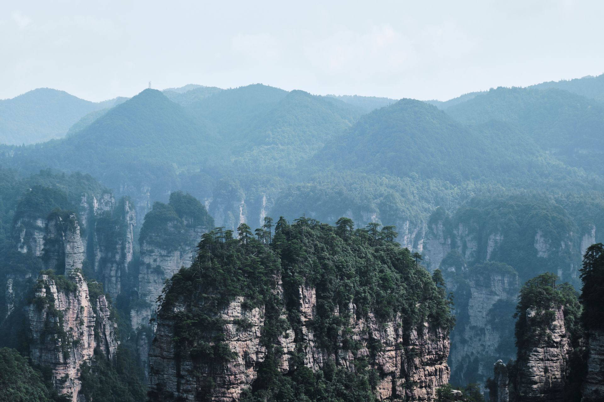 Forested sandstone pillars rising in Zhangjiajie National Forest Park